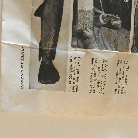 Fish Scale Brooch - Picture 11 of 11